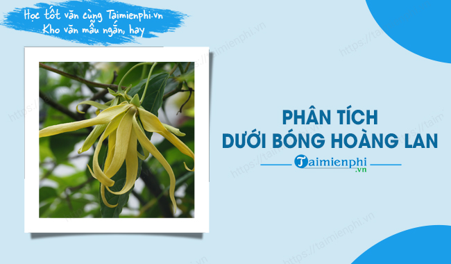 Dưới bóng hoàng lan Ngữ văn 10 Chân trời sáng tạo Gallery 2