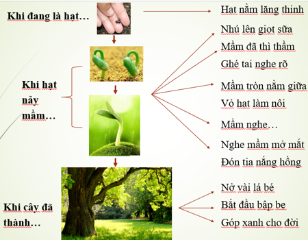 Ngữ Văn 7: Lời Của Cây - Tóm Tắt, Phân Tích Và Giá Trị Văn Học Gallery 2