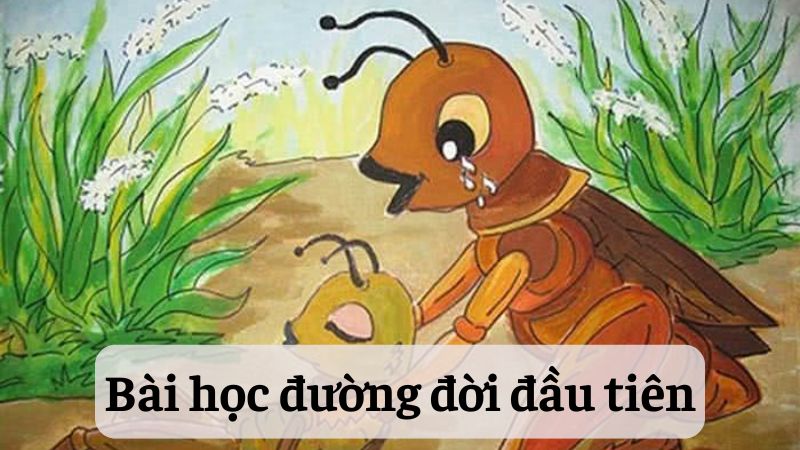 Bài Học Đường Đời Đầu Tiên Lớp 6 Sách Mới Gallery 2