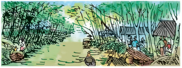 Soạn Bài Đất Cà Mau Gallery 2