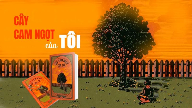 Cây Cam Ngọt của Tôi Gallery 2
