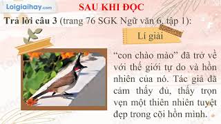 Bài Con Chào Mào Lớp 6 Gallery 2