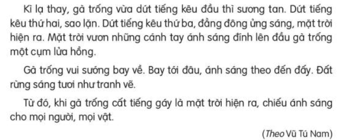 Bài 26 Đi Tìm Mặt Trời Gallery 2