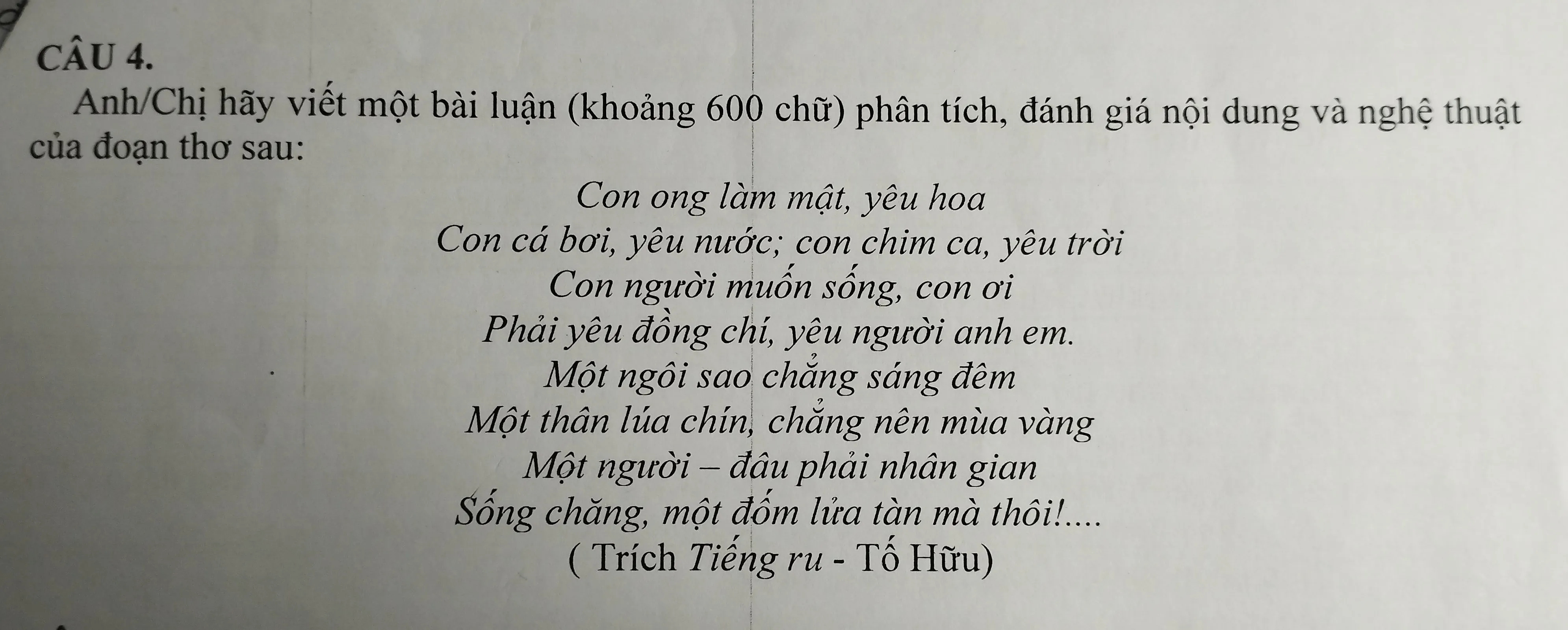 Tiếng Ru Tố Hữu Gallery 2