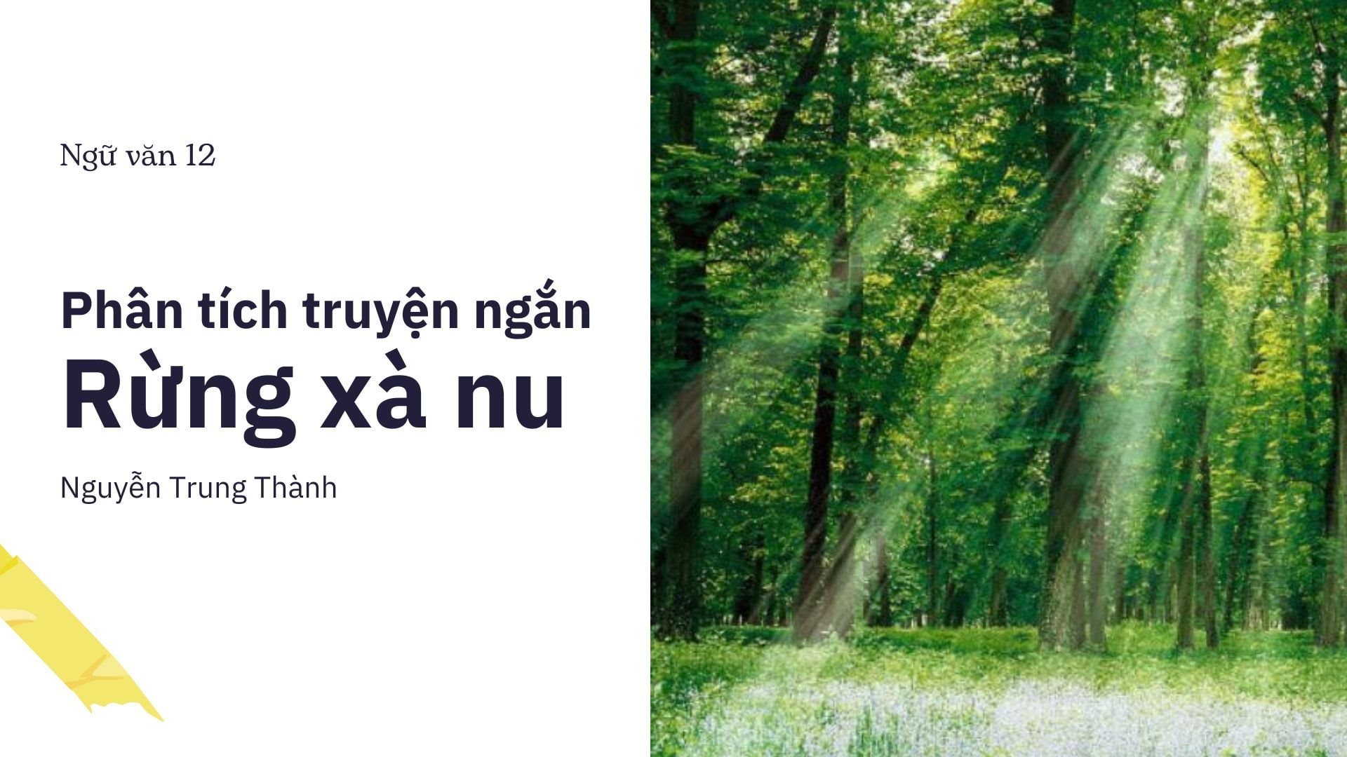 Tác giả Rừng Xà Nu phản cách mạng? Gallery 1