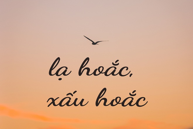 Xấu Hoắc Hay Xấu Quắc? Gallery 1