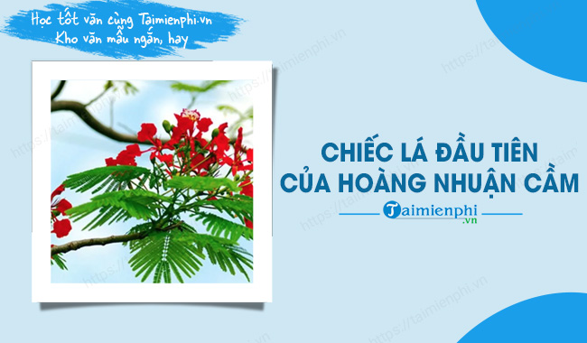 Soạn Văn Chiếc Lá Đầu Tiên Gallery 2