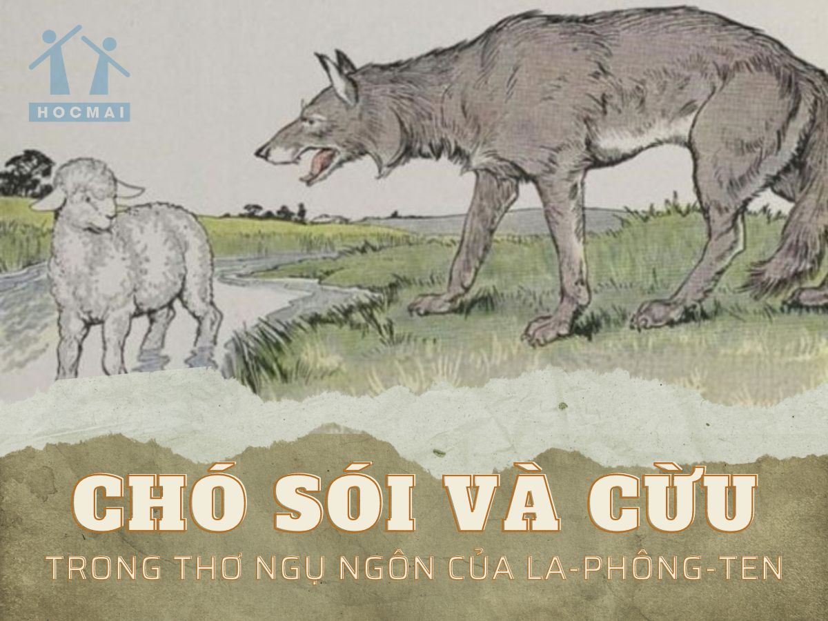Soạn Bài Chó Sói Và Cừu Trong Thơ Ngụ Ngôn Của La Fontaine Gallery 2