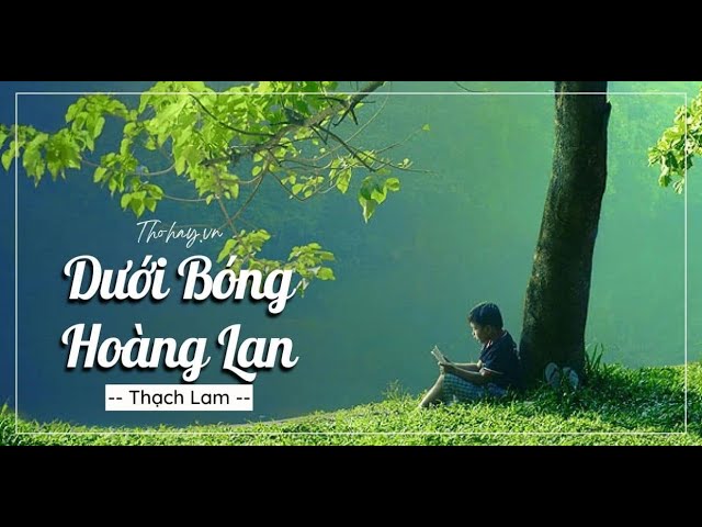 Dưới bóng hoàng lan đọc hiểu Gallery 1