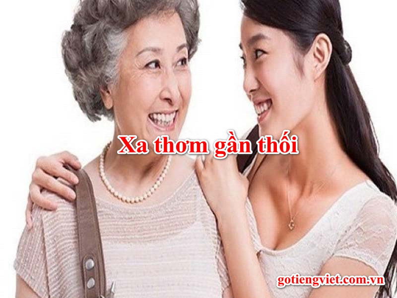 Xa thơm gần thối Gallery 1