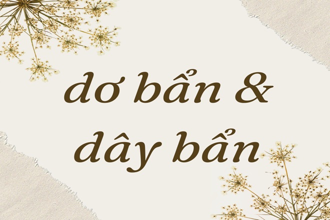 Giây Bẩn Hay Dây Bẩn? Gallery 2