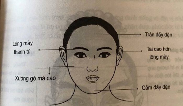 Tướng Phụ Nữ Mình Hạc Xương Mai: Ý Nghĩa và Vận Mệnh Gallery 2