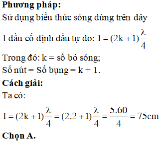 Một Đầu Cố Định Một Đầu Tự Do Gallery 2