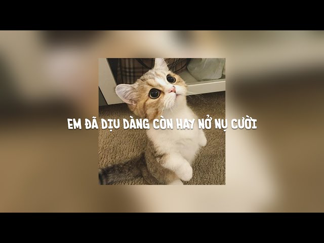 Em đã dịu dàng lại còn hay nở nụ cười Gallery 1