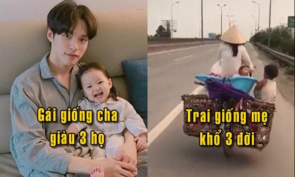 Ý nghĩa câu con gái giống cha giàu ba họ Gallery 1
