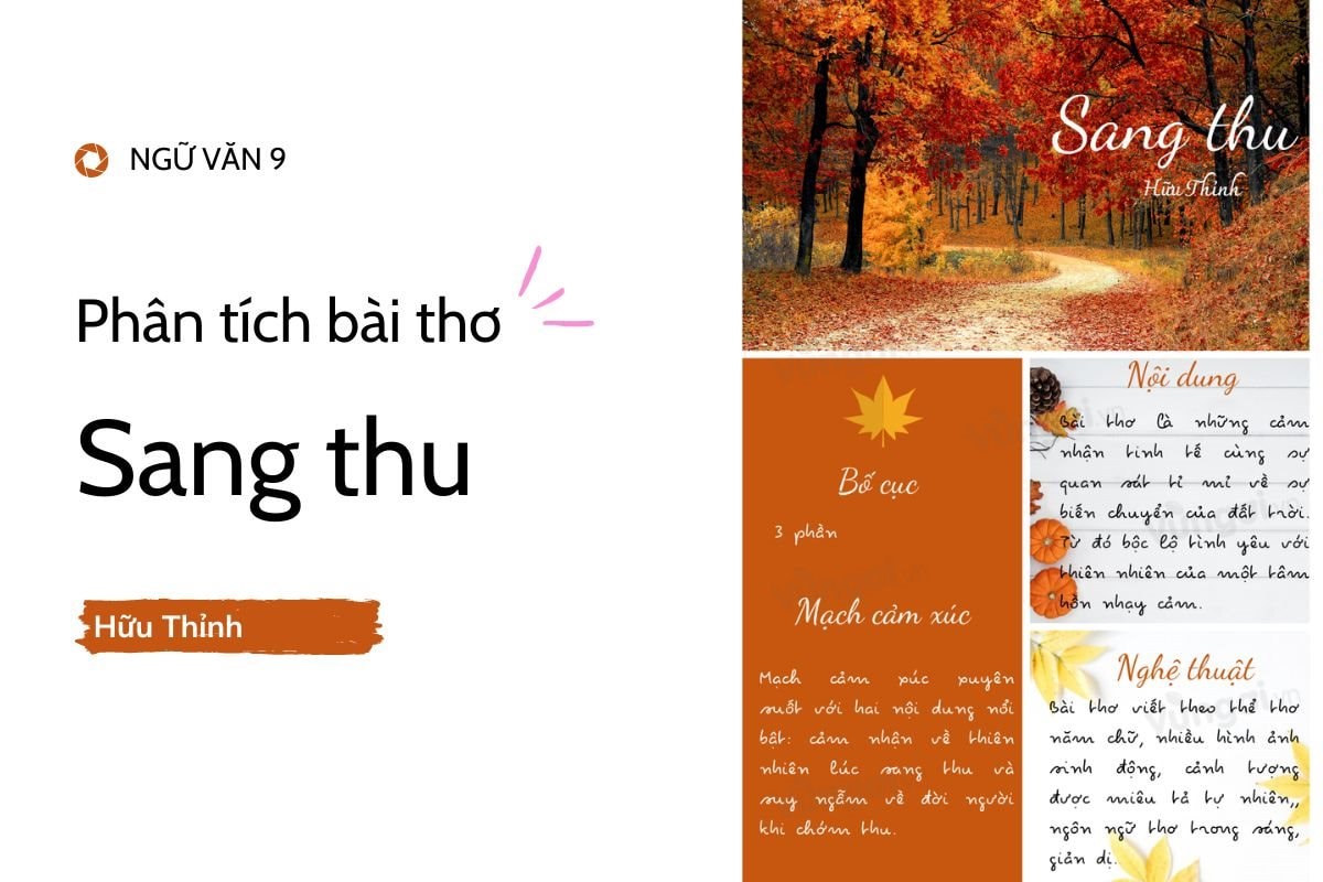 Gió vẫn còn gọi mùa thu đến khắp trời Gallery 1