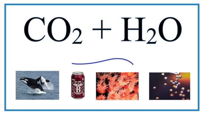 CO2 + H2O menghasilkan apa? Gallery 1
