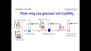 Phản ứng của glucozo với Cu(OH)2