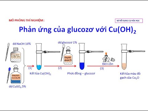 Glucozo + Cu(OH)2 đun nóng Gallery 1