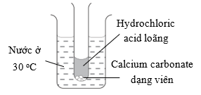 HCl và Calcium Carbonate: Phản ứng và Ứng dụng Gallery 1
