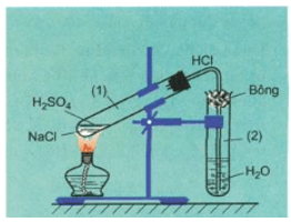Phản ứng NaCl + H2SO4 + H2O Gallery 1