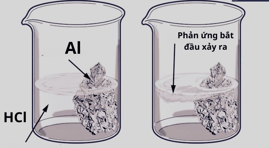 Phản ứng Al + HCl: Hiện tượng và Giải thích Gallery 1