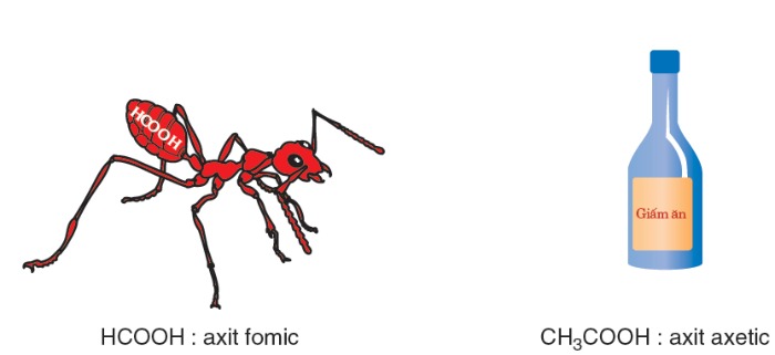 Phản ứng giữa Axit Fomic và Natri (Na) Gallery 1