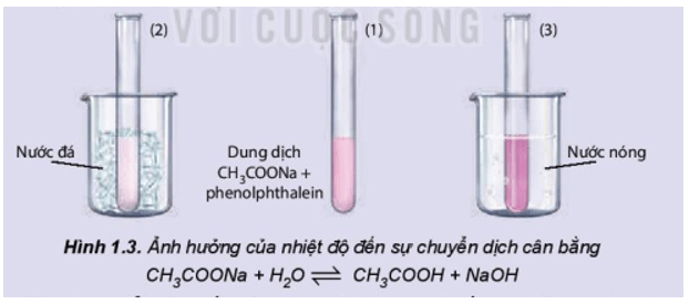 CH3COOH tạo ra CH3COONA Gallery 1
