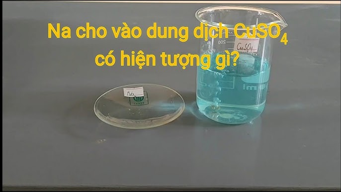 Cho Na vào CuSO4 Gallery 1