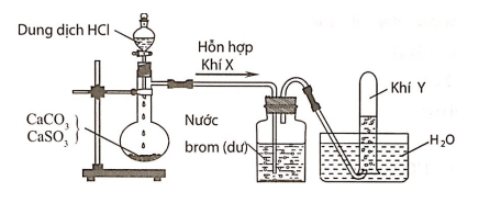 Phản ứng giữa CO2 dư và KOH Gallery 1