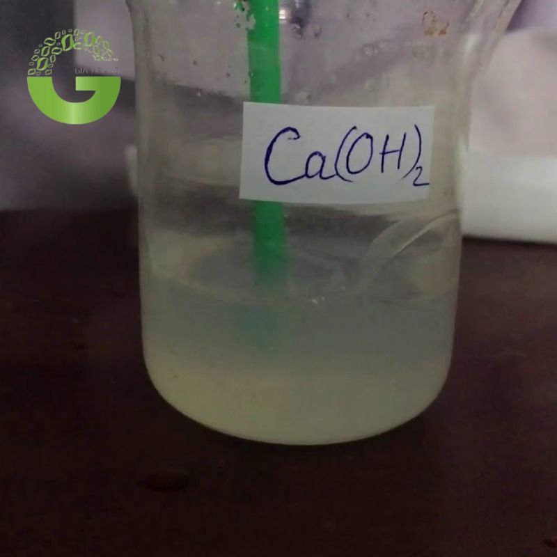 Nước vôi trong phản ứng với CO2 tạo thành kết tủa trắng CaCO3 Gallery 1
