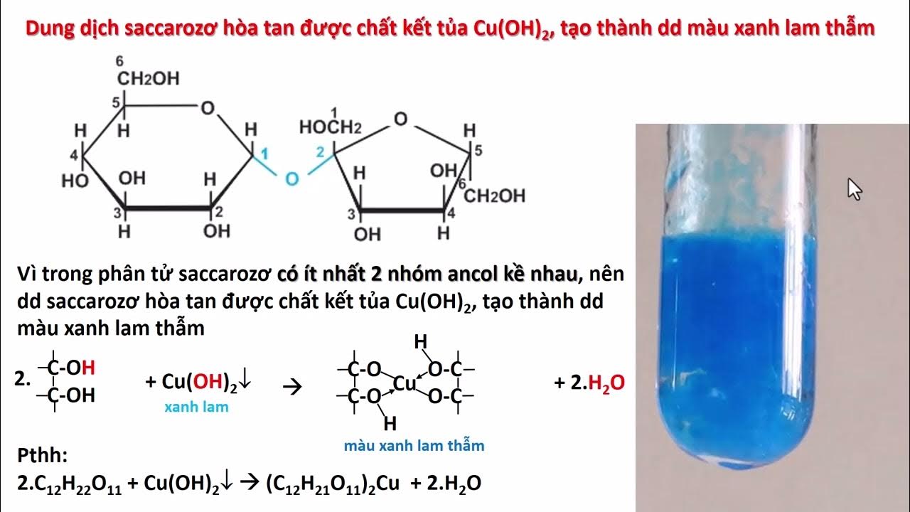 Hòa tan Cu(OH)2 bằng dung dịch saccarozơ thu được dung dịch màu gì? Gallery 1