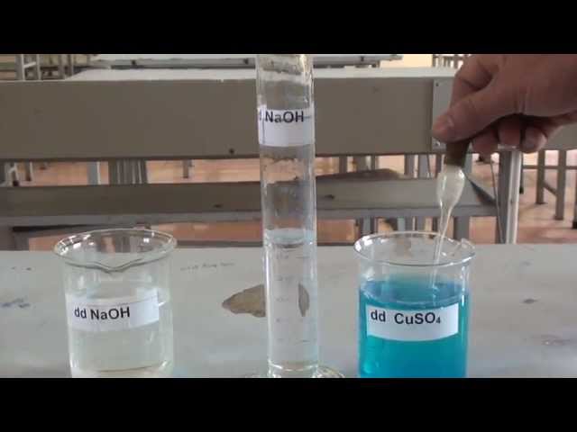 Phản ứng giữa Natri Hydroxit (NaOH) và Đồng Sunfat (CuSO₄) Gallery 1