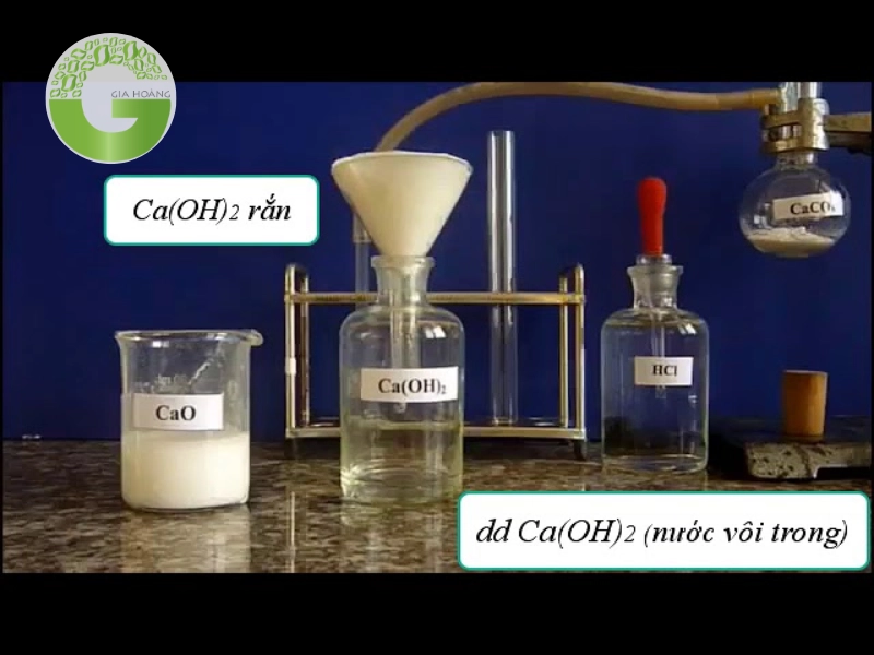Phản ứng CaO + H2O → Ca(OH)2: Tìm hiểu chi tiết Gallery 1