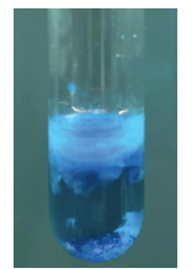 Phản ứng giữa Đồng Sunfat (Copper Sulfate) và Natri Hydroxit (Sodium Hydroxide) Gallery 1