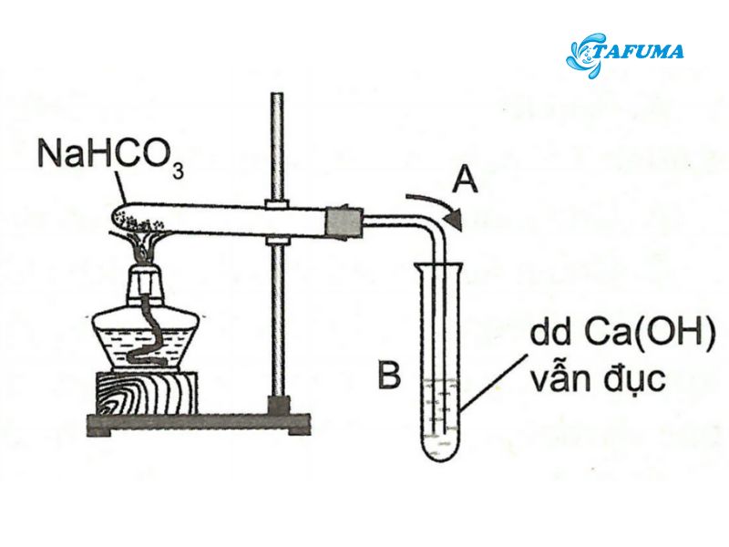 Nhiệt Phân Muối NaHCO3 Gallery 1