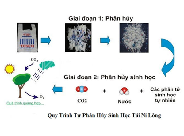 Tính chất hóa học của polime Gallery 1