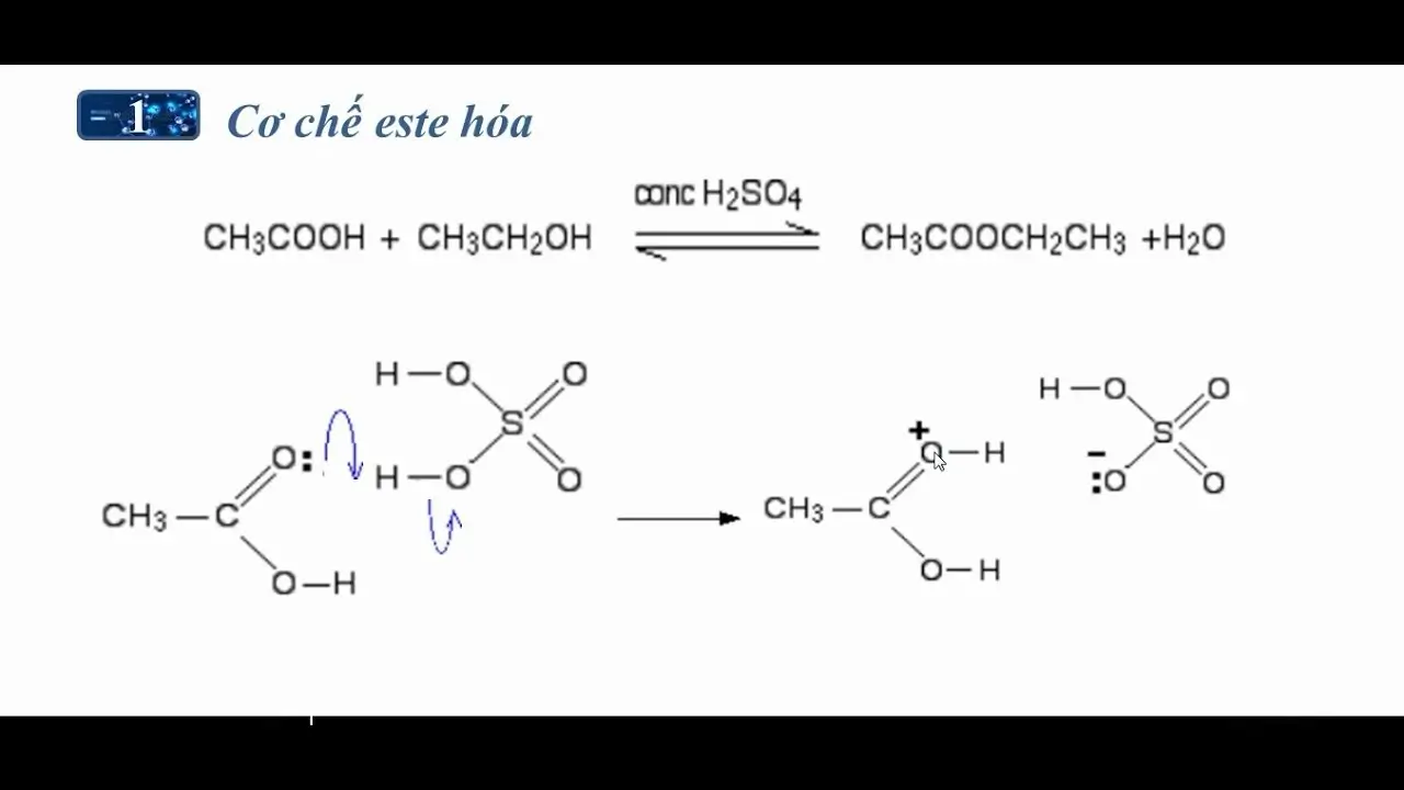 CH3COOC2H5 + H2O: Phản ứng thủy phân este Gallery 1