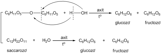 Phản ứng thủy phân Saccarozo