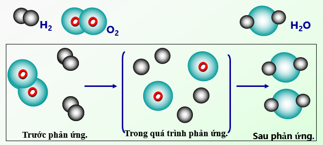 Phản ứng tiếng Anh là gì? Gallery 2