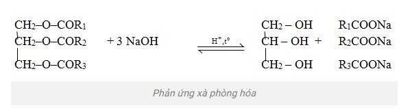 Phản ứng giữa Anlyl Fomat và NaOH Gallery 1