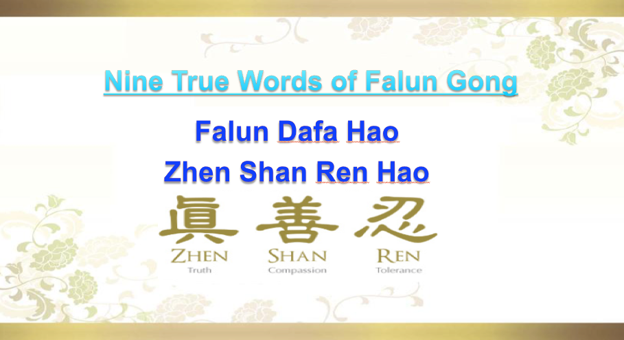 Pháp Luân Đại Pháp Hảo Chân Thiện Nhẫn Hảo Gallery 2