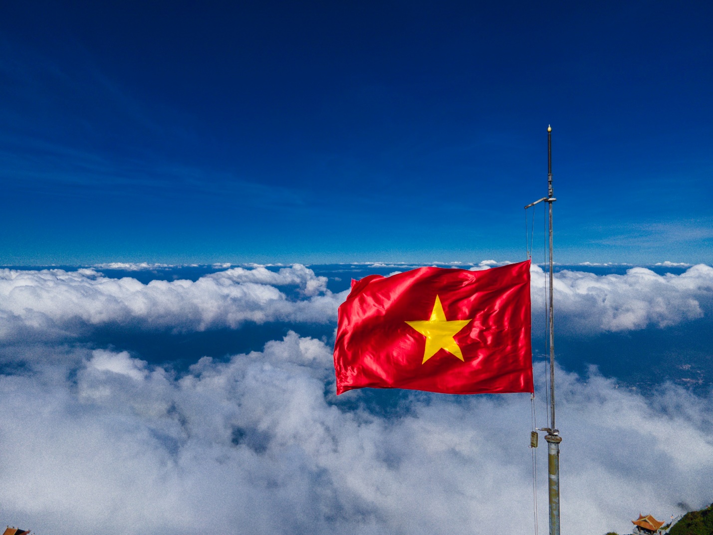 Phấp Phới Là Gì? Gallery 2