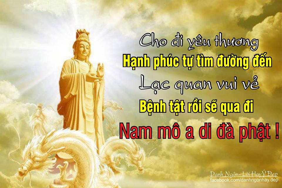 STT Phật dạy về cuộc sống: Những bài học quý giá cho hành trình sống ý nghĩa Gallery 1