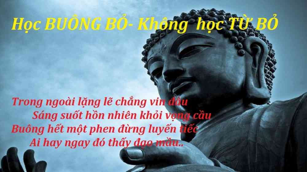 STT Phật dạy về cuộc sống: Những bài học quý giá cho hành trình sống ý nghĩa Gallery 2