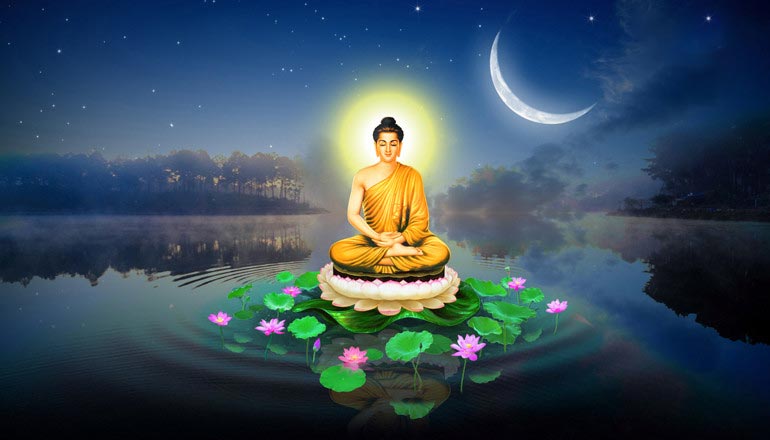 Phật và Hoa Sen: Sự Kết Hợp Thiêng Liêng và Ý Nghĩa Sâu Sắc