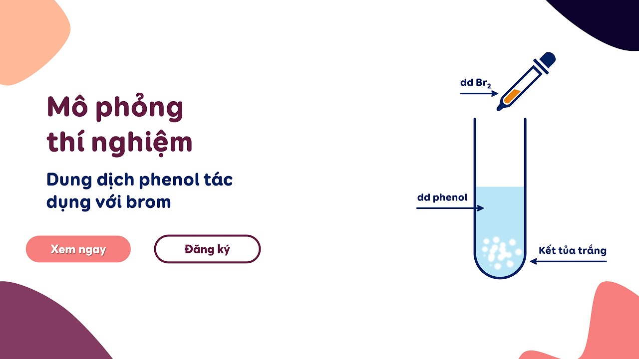 Hiện tượng phản ứng giữa Phenol và Brom Gallery 2