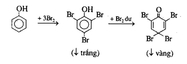Phenol + Br2 tạo kết tủa trắng: Phản ứng đặc trưng và ứng dụng