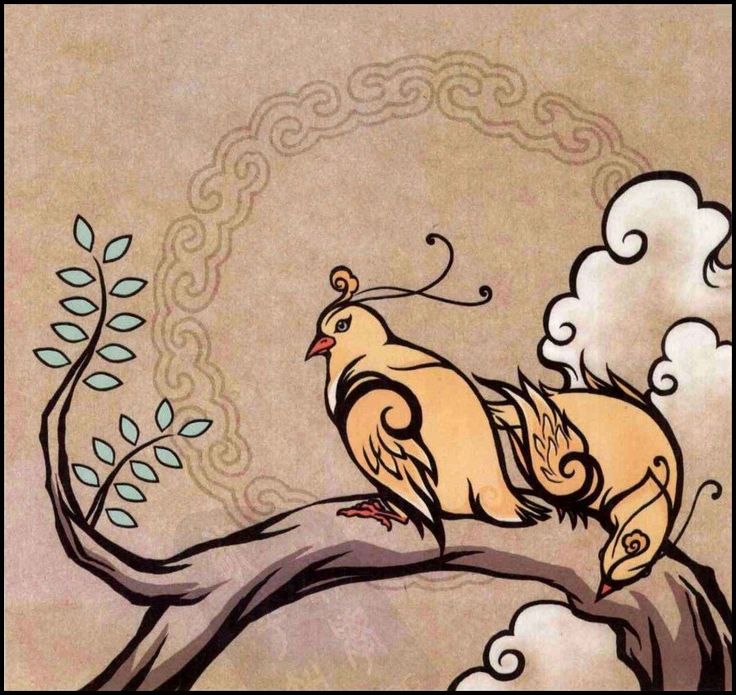 Phi Điểu Là Con Gì?