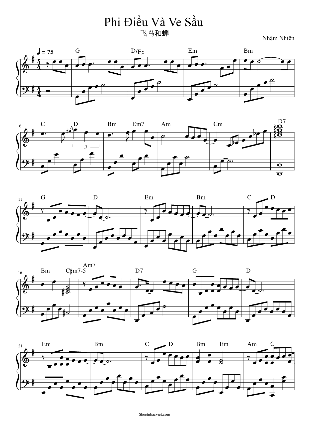 Phi Điểu Và Ve Sầu Hợp Âm